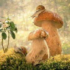 Схема вышивки «В утренних лучах»