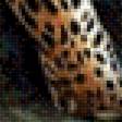 Предпросмотр схемы вышивки «Леопард» (№2708929)