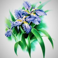 Схема вышивки «№2708981»