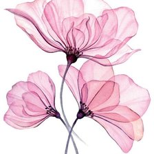 Схема вышивки «№2709004»