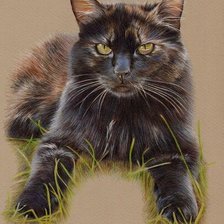 Схема вышивки «Черныш»