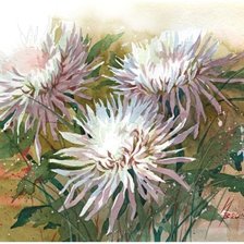 Схема вышивки «Акварельные хризантемы»