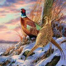 Схема вышивки «№2710508»