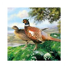 Схема вышивки «№2710511»