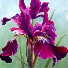 Схема вышивки «ирис»