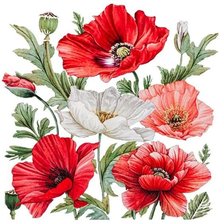 Схема вышивки «подушка маки»