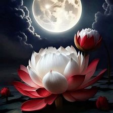 Схема вышивки «луна и лотос»