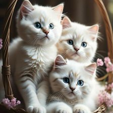 Схема вышивки «CAT 1»