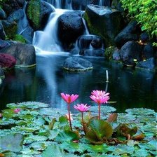 Схема вышивки «En un sueño»