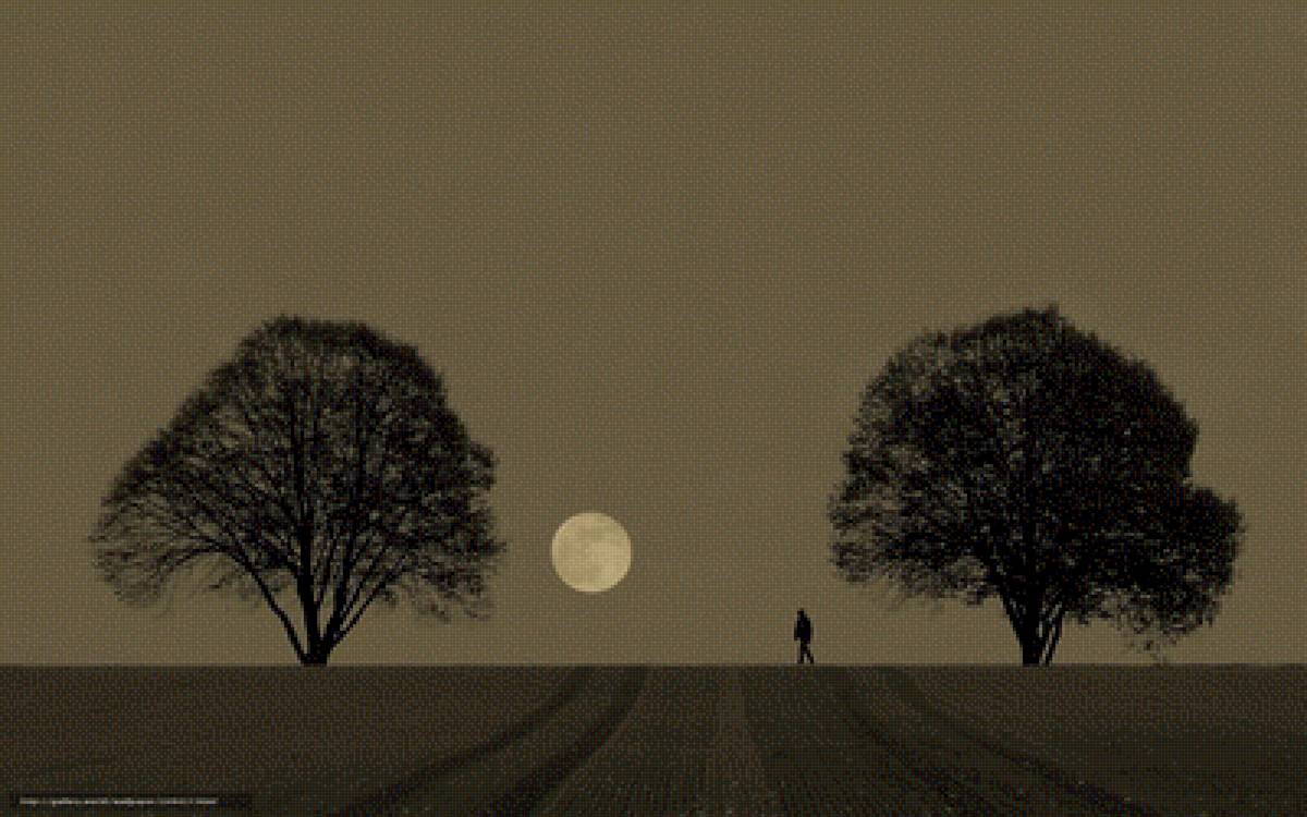 Путь - дерево, ночь, луна - предпросмотр