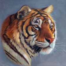 Схема вышивки «тигр»