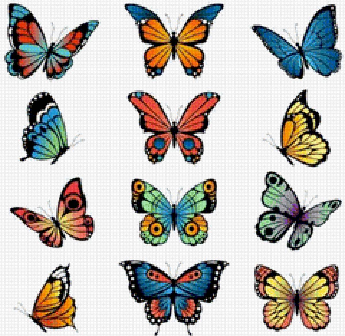Varias mariposas - colores, animal, mariposa - предпросмотр