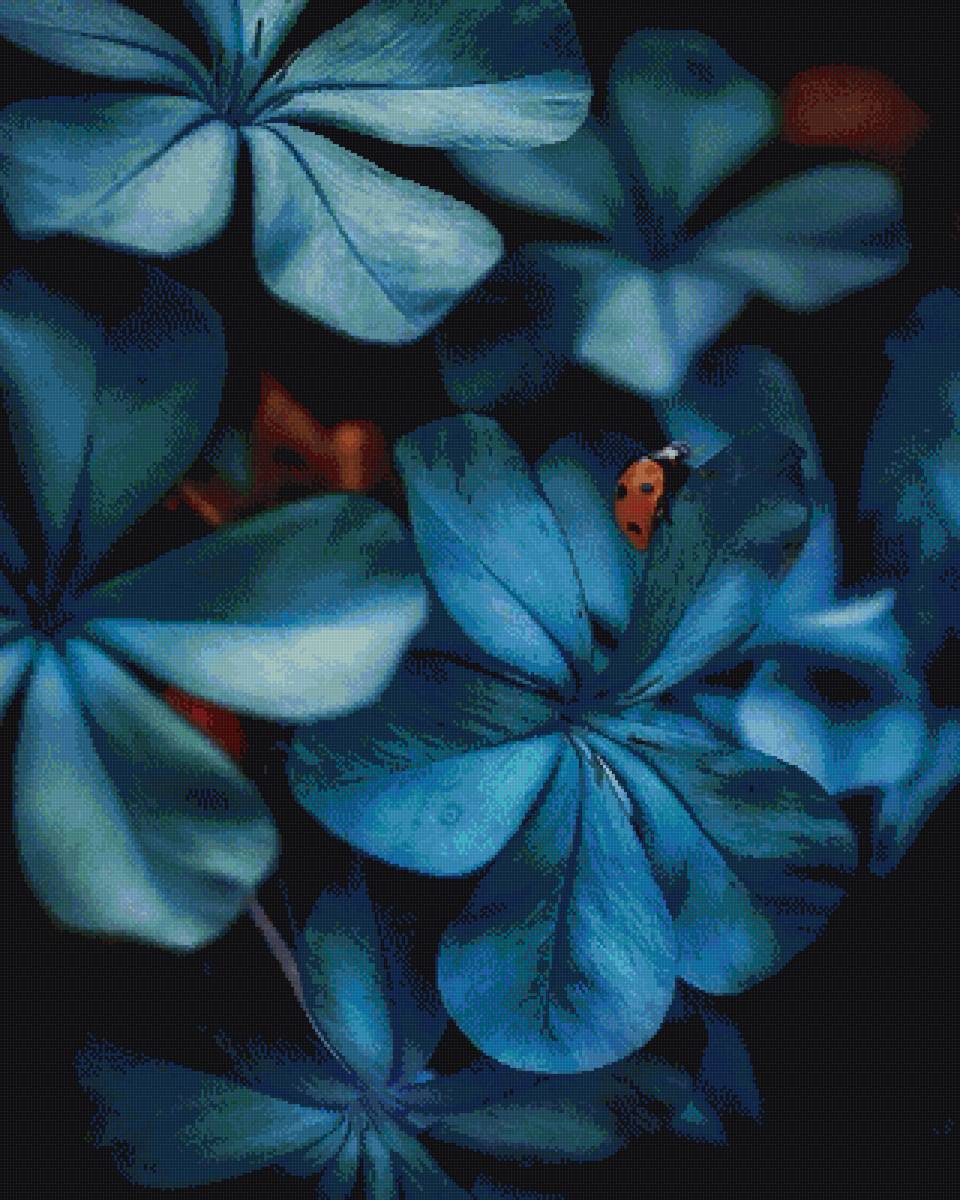 Божья коровка на синих цветах - предпросмотр