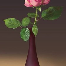 Схема вышивки «Роза»