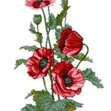 Схема вышивки «Makovi»