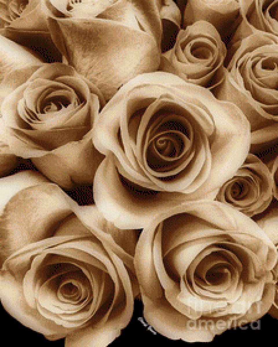 Rosas en ramo - предпросмотр