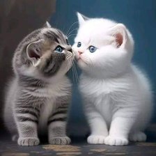 Схема вышивки «2 котенка»