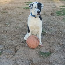 Схема вышивки «Eros»