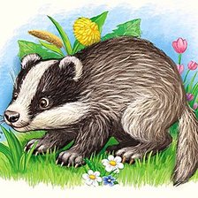 Барсук-2 маленький