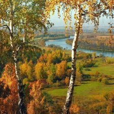 Схема вышивки «№2715155»