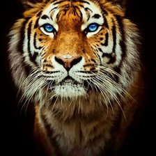 Схема вышивки «В память о...»