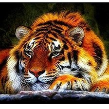 Схема вышивки «Тигр»