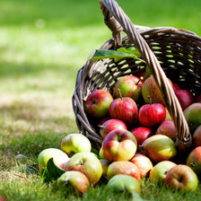 Схема вышивки «Монастырские яблочки»