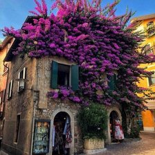 Схема вышивки «Цветы»