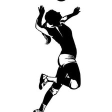 Схема вышивки «Волейбол»