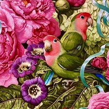 Схема вышивки «pajaros»