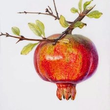 Схема вышивки «granada»