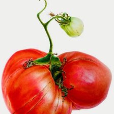 Схема вышивки «tomate»