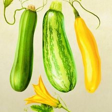 Схема вышивки «calabazas»