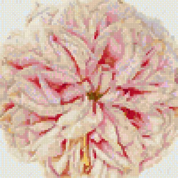 rose - предпросмотр