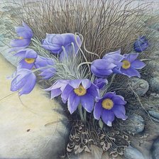 Схема вышивки «Прострел»