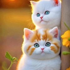 Схема вышивки «№2718874»