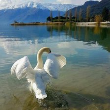 Схема вышивки «№2719150»