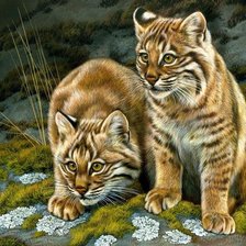 Схема вышивки «№2719178»