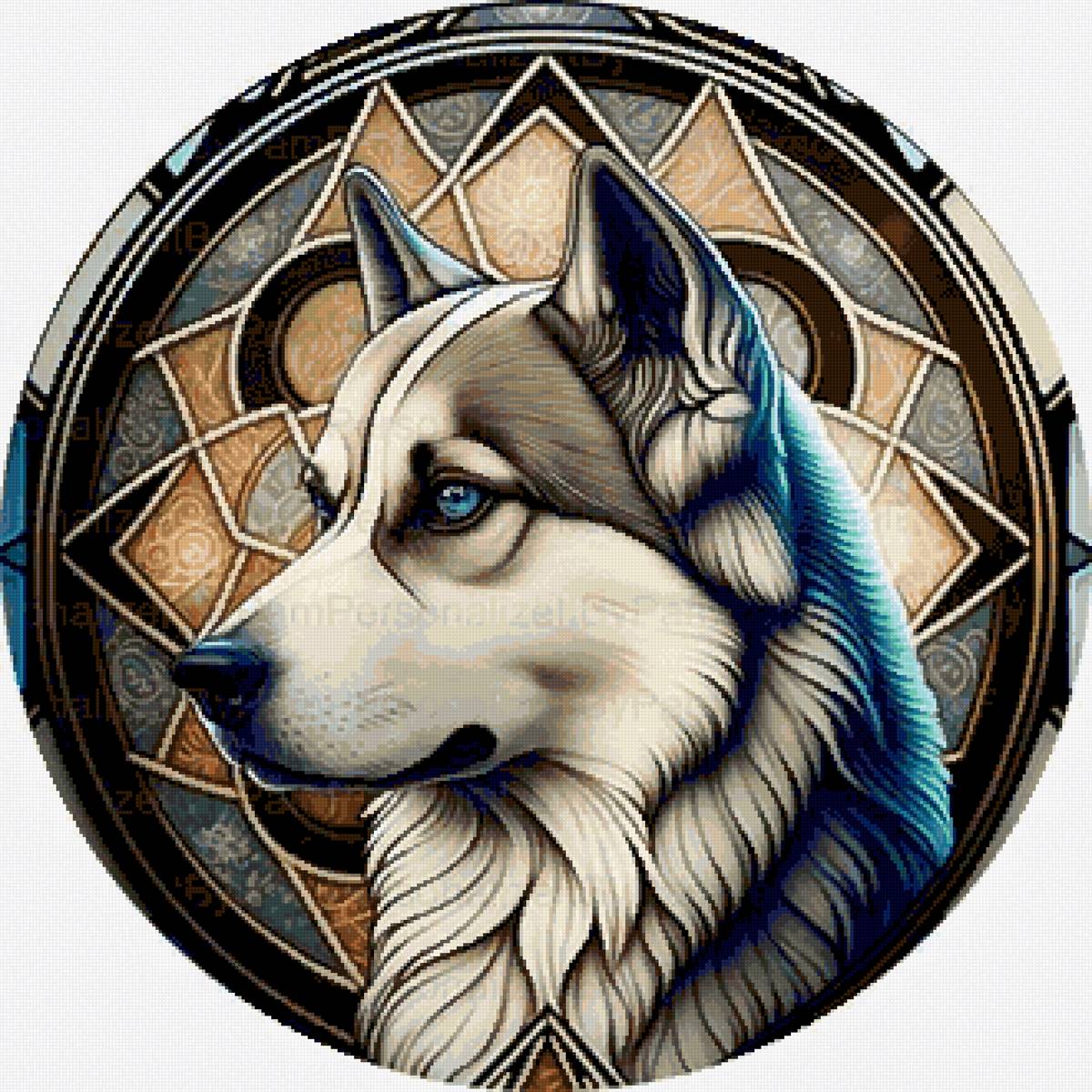 Портрет Хаски - животные, собака, собаки - предпросмотр