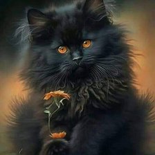 Схема вышивки «Котёнок»