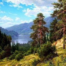 Схема вышивки «forest»