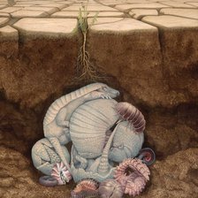 Схема вышивки «vida silvestre»