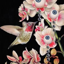 Схема вышивки «ojos»