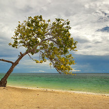 Схема вышивки «№2722256»