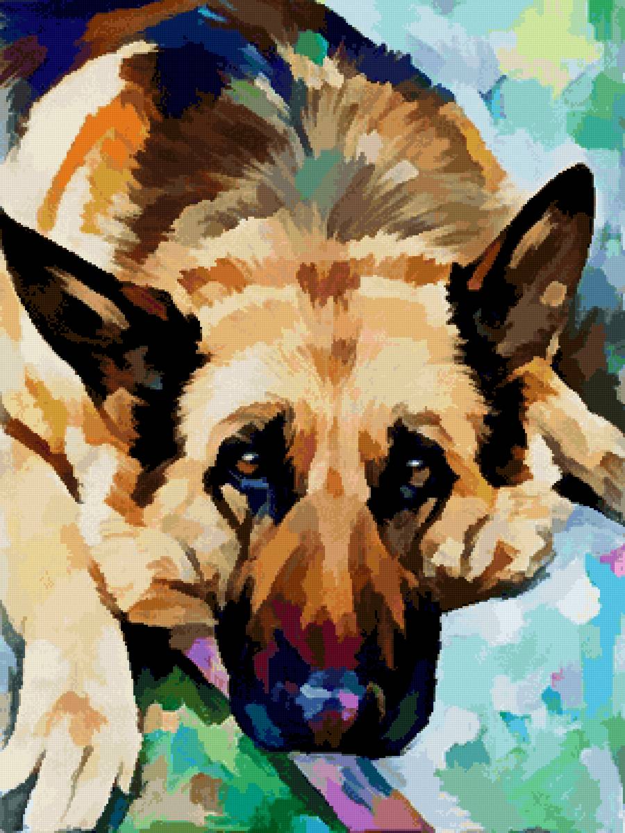 Овчарка - собака, собаки, животные, немецкая овчарка, овчарка - предпросмотр