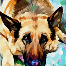 Схема вышивки «Овчарка»