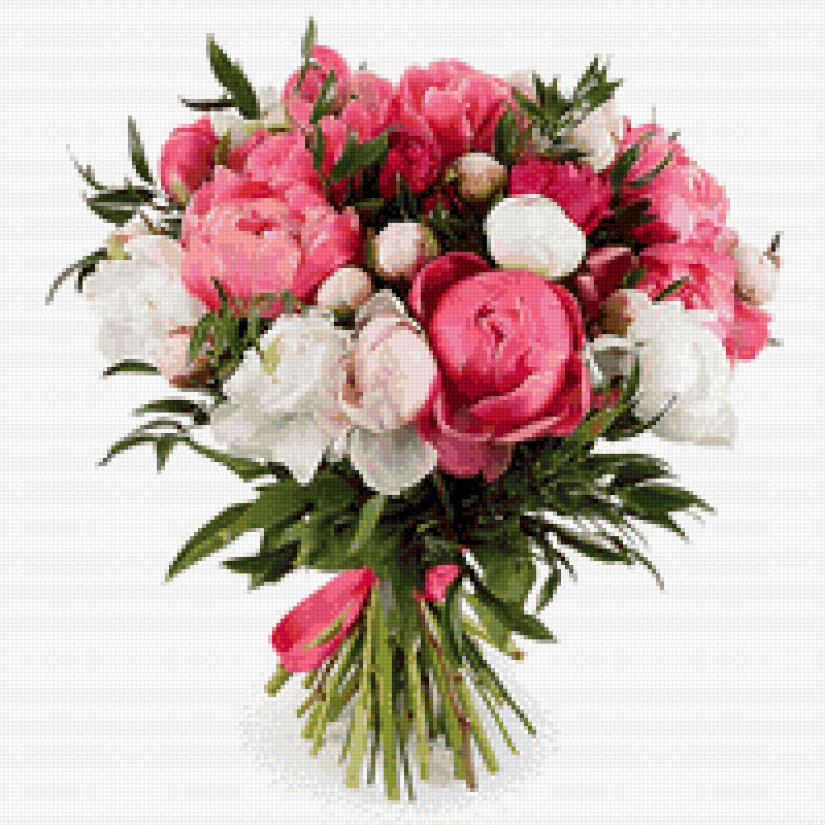 Пионы - цветы - предпросмотр