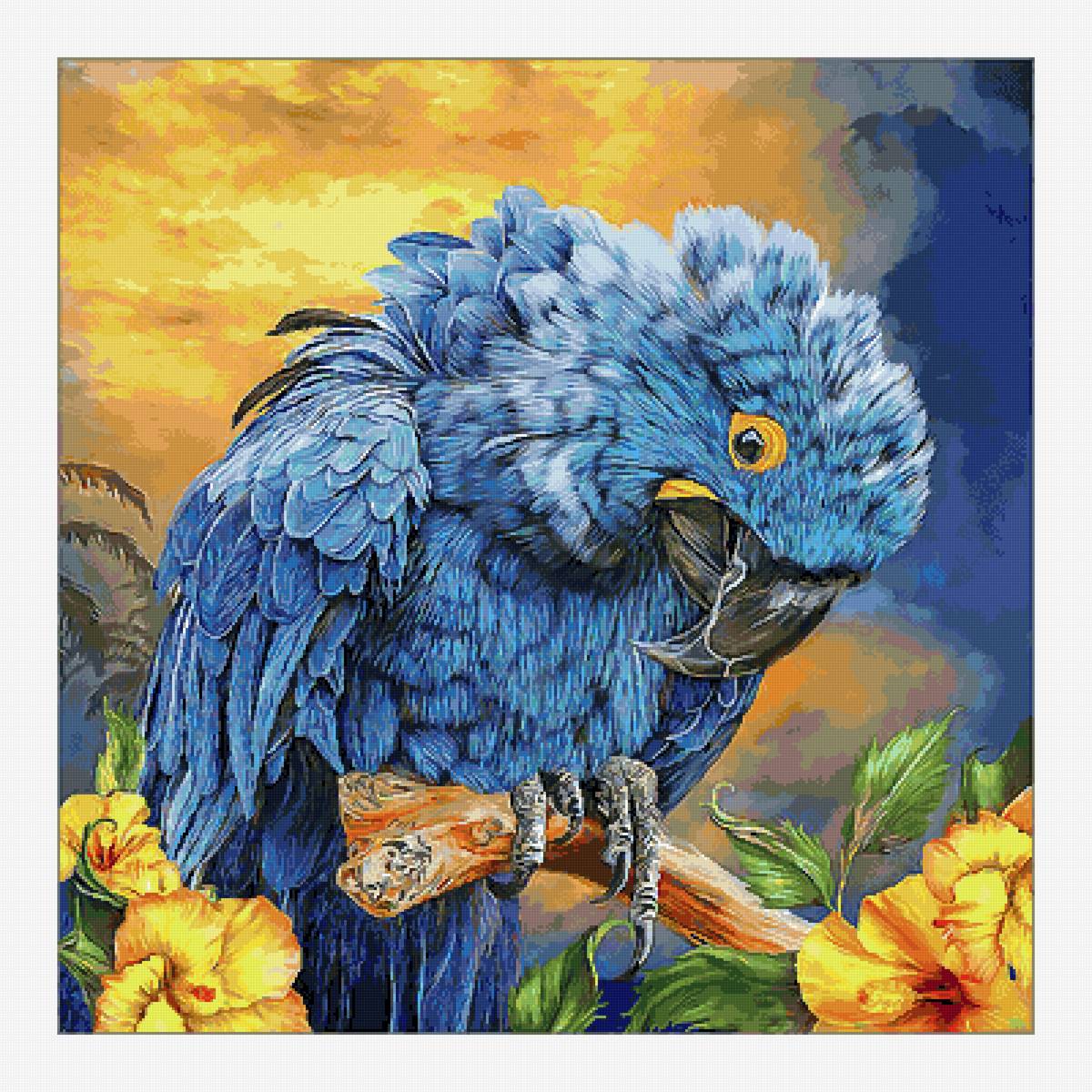 №2722962 - попугай, птицы - предпросмотр