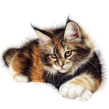 Схема вышивки «Кот»