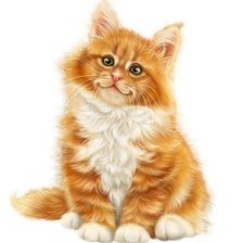 Схема вышивки «Кот»